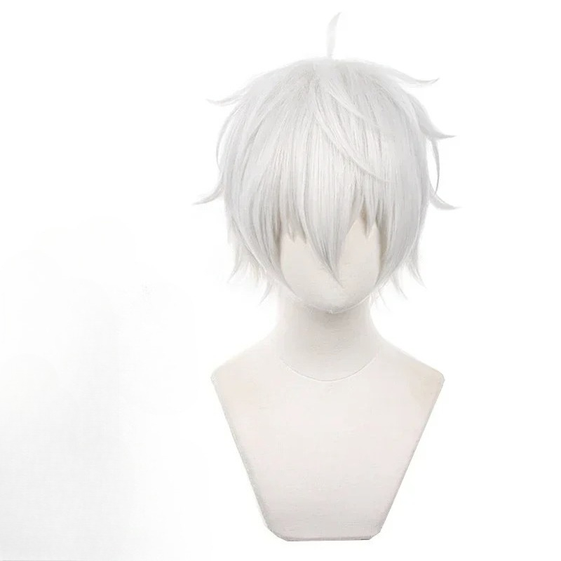 Cosplay Anime White Hair - Anime Seishiro Nagi Cosplay Pruiken Zilver