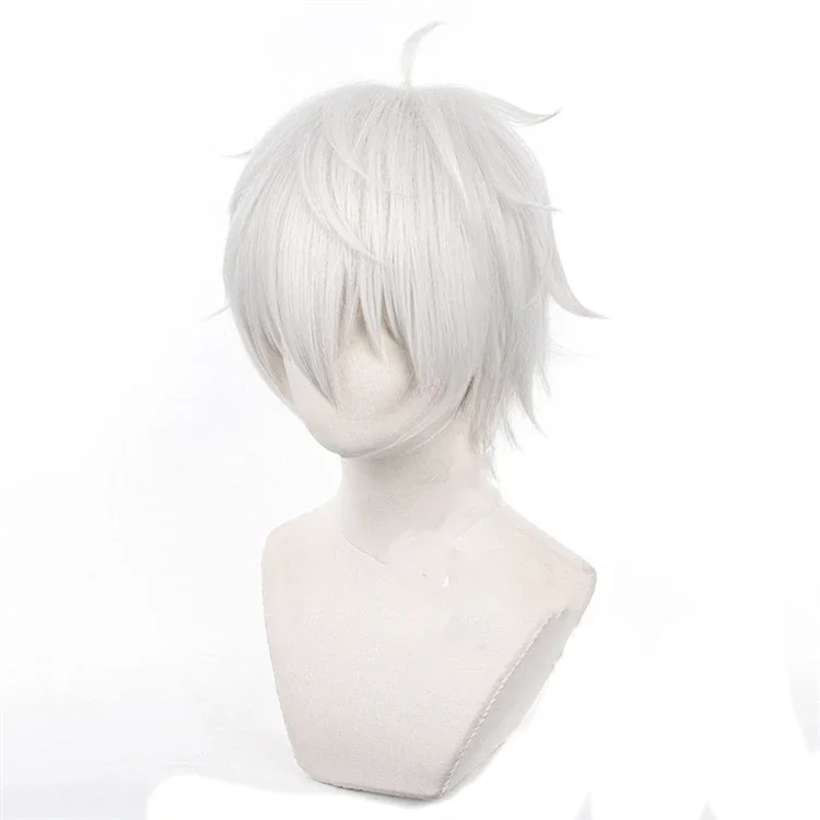 Anime Seishiro Nagi Cosplay Pr - Cosplay Anime White Hair recensie en prijs