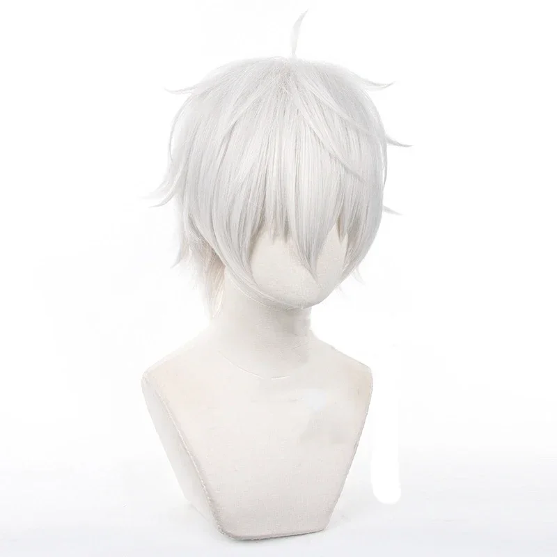 Anime Seishiro Nagi Cosplay Pr - Cosplay Anime White Hair recensie en prijs