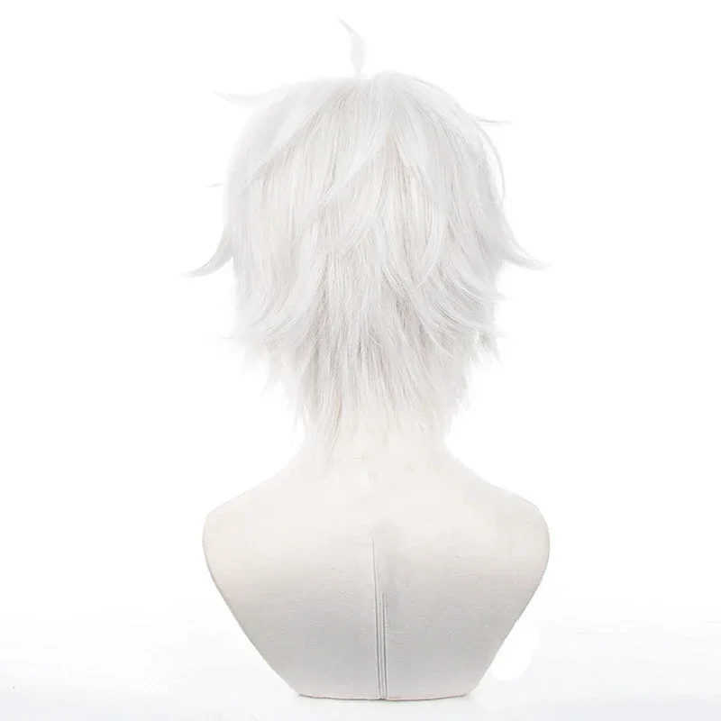 Anime Seishiro Nagi Cosplay Pr - Cosplay Anime White Hair recensie en prijs